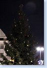 Vánoční strom těsně před slavnostním rozsvícením