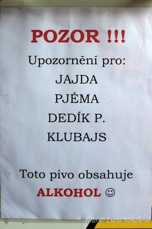 Štěňata Vlčí píseň, Laziště 22.6.2014