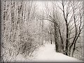 Cesta na Štramberk v zimní pohádce