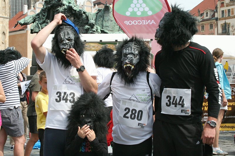 Běh pro gorily, Praha 28.5.2011