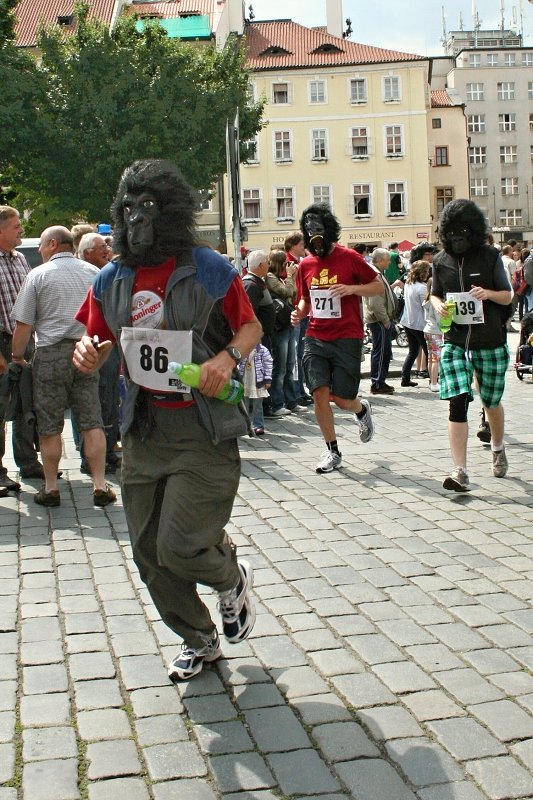 Běh pro gorily, Praha 28.5.2011