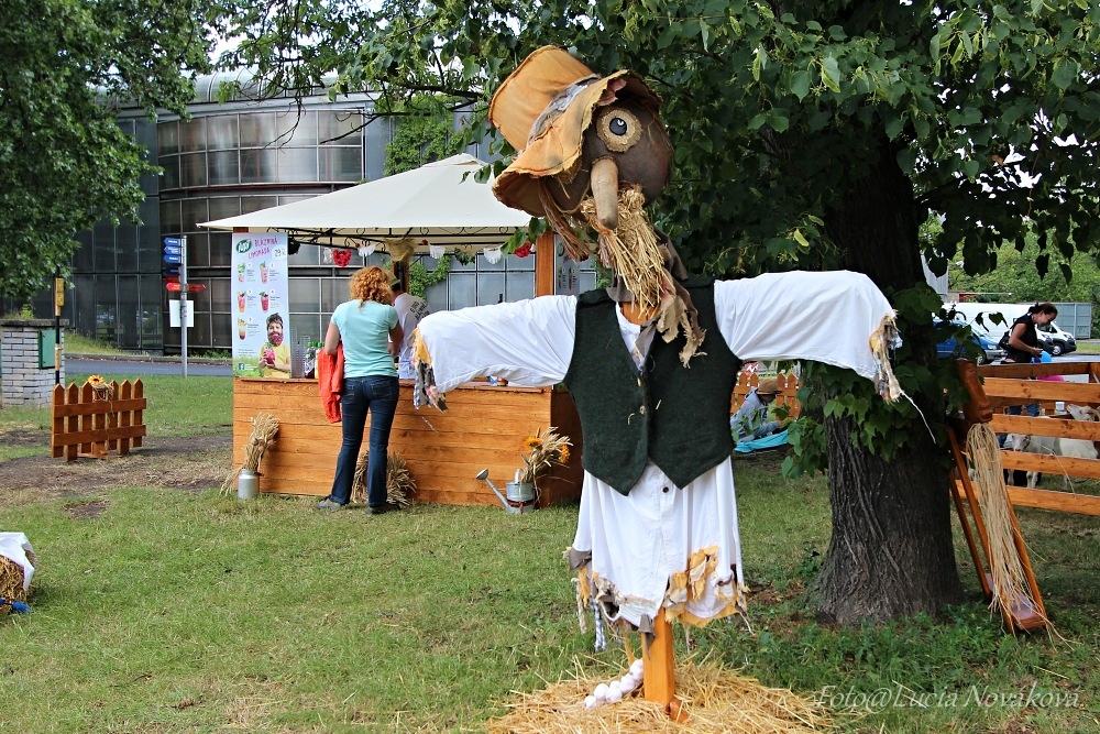 Festival v ulicích, Ostrava, 8.- 9.7.2016