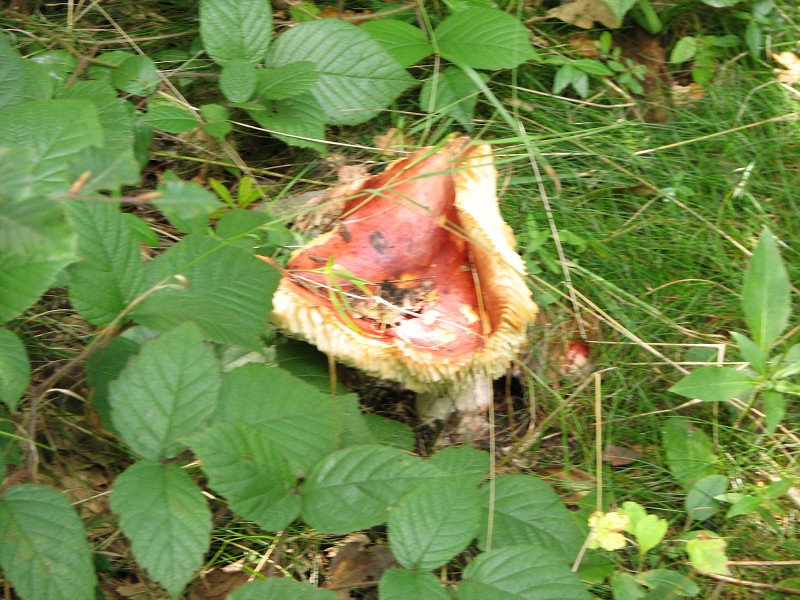 Mořkov - dozvuky dovolené 8.-9.9. 2006