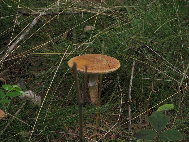 Mořkov - dozvuky dovolené 8.-9.9. 2006