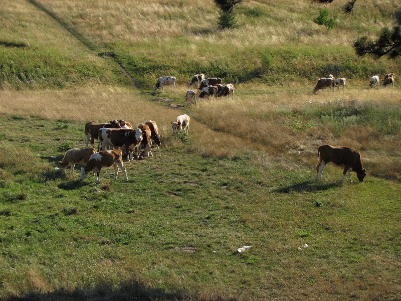 Dovolená 2007 - slovenská část 21.-27.7.