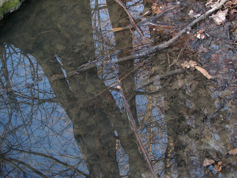 20080224jaro33.jpg 