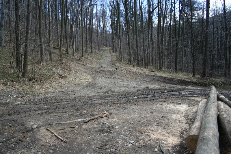 Jarní procházka 24.3.2011