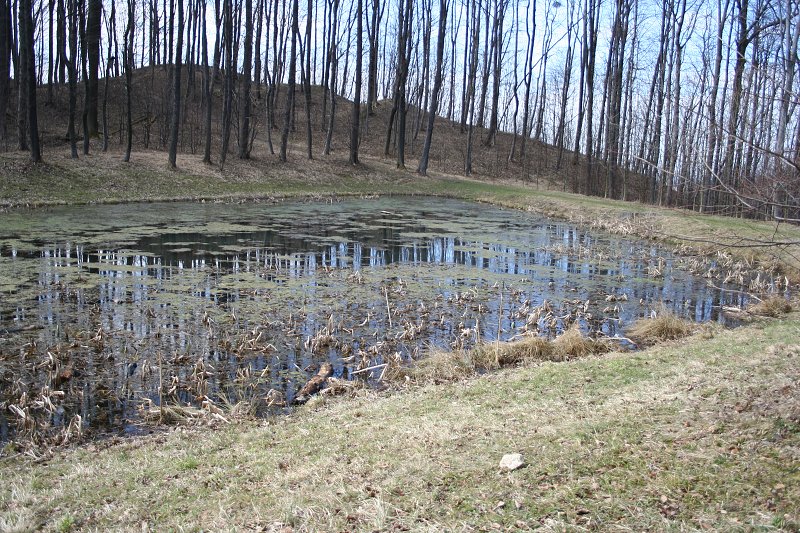 Jarní procházka 24.3.2011
