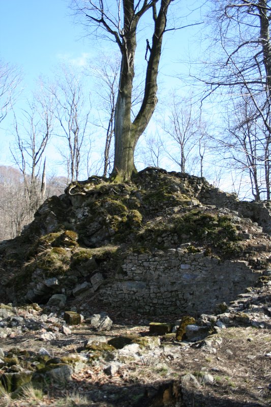 Jarní procházka 24.3.2011