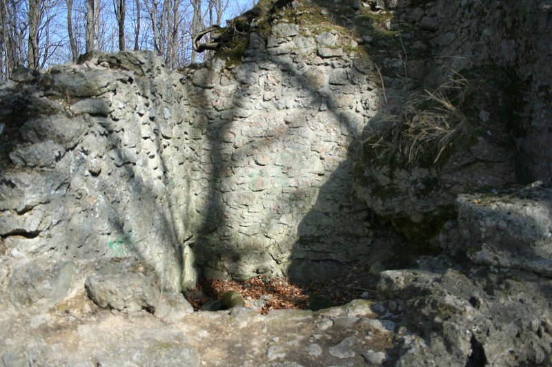 Jarní procházka 24.3.2011