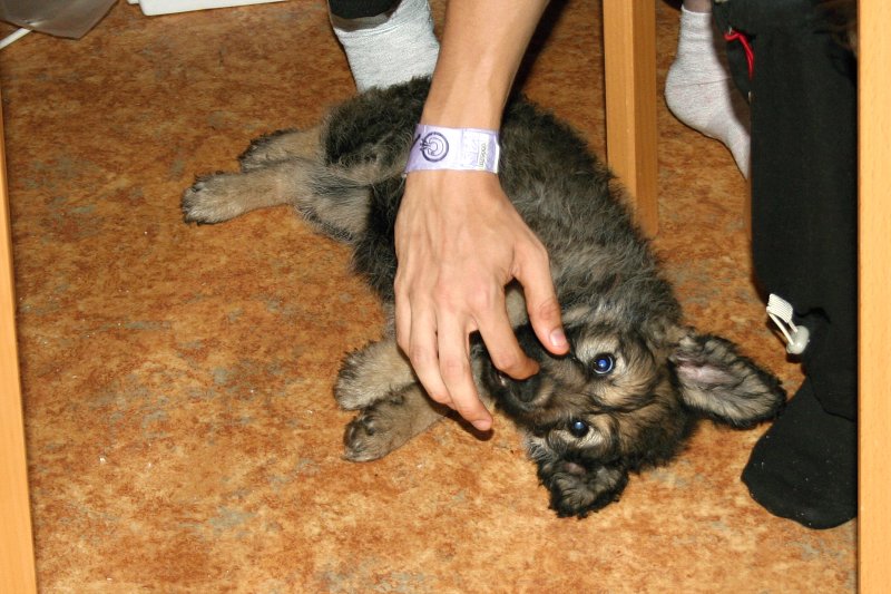 Hanka 18. narozeniny, 9.8.2011