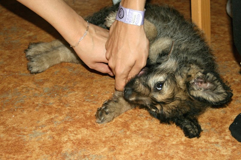 Hanka 18. narozeniny, 9.8.2011