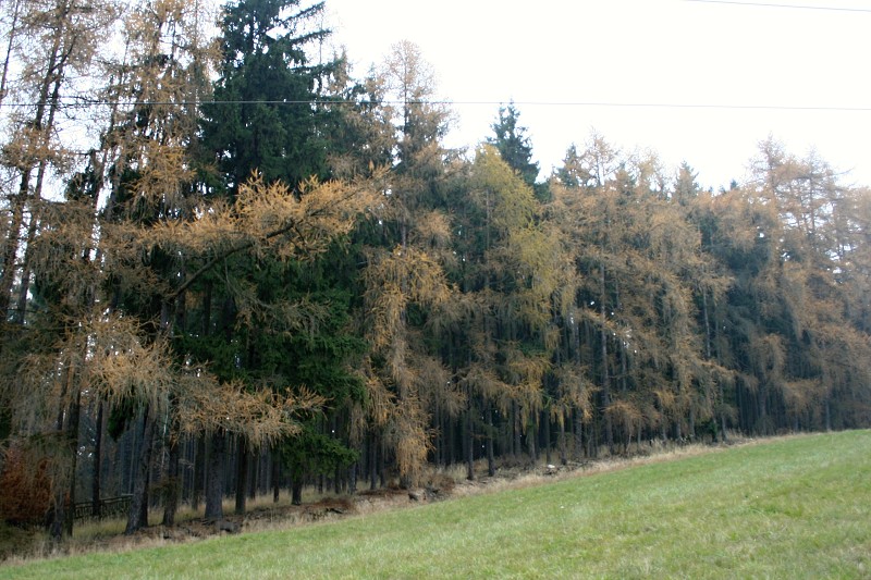 Víkend na hájence 18.-20.11.2011