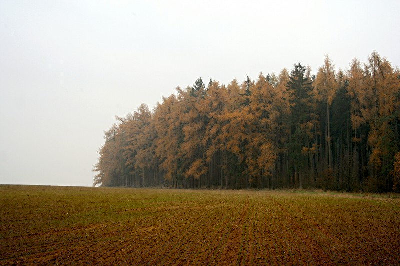 Víkend na hájence 18.-20.11.2011
