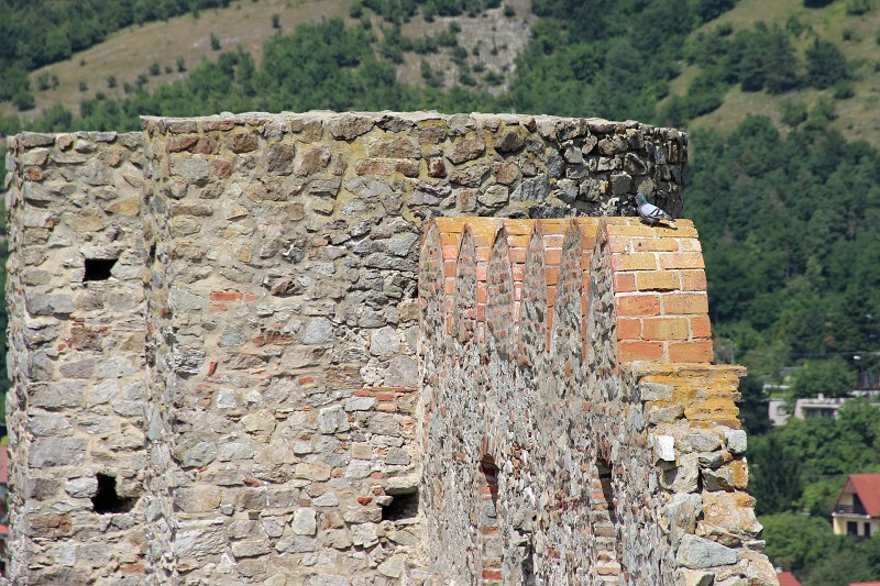 Výlet na Devín, 20.7.2013