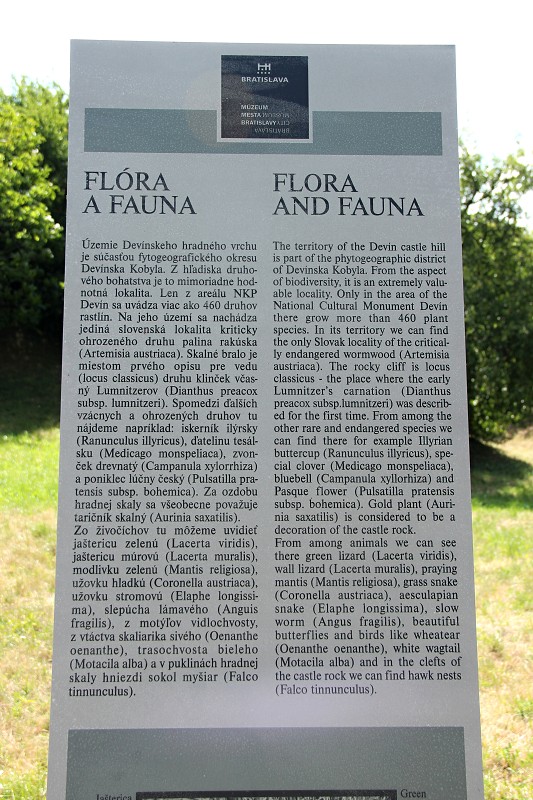 Výlet na Devín, 20.7.2013