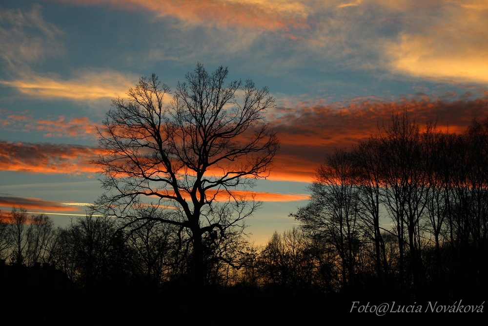Vánoce 24.-26.12.2015, Havířov, Petřvald