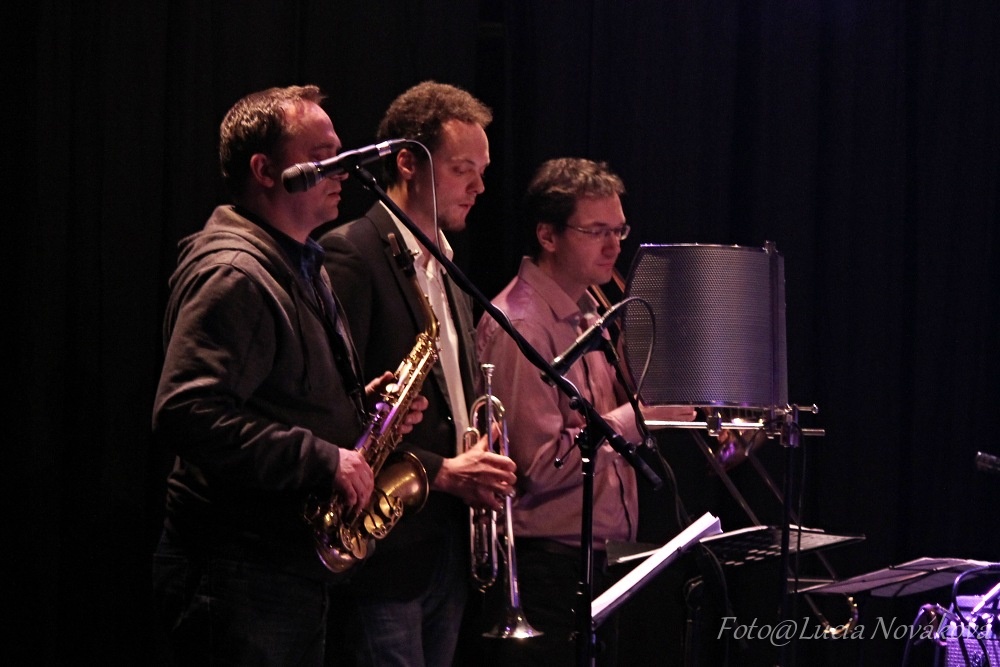Žalmanův narozeninový koncert, Lucerna,20.3.2016